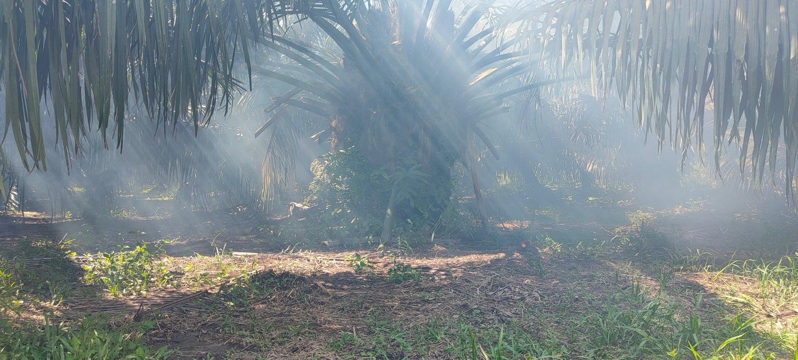 Imagen de WhatsApp 2025-06-06 a las 02.09.30_9d54f231